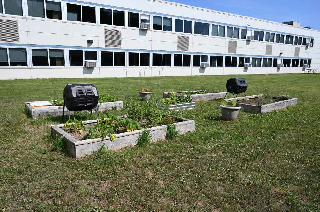 An image of four raised garden beds at Shaker Middle School.