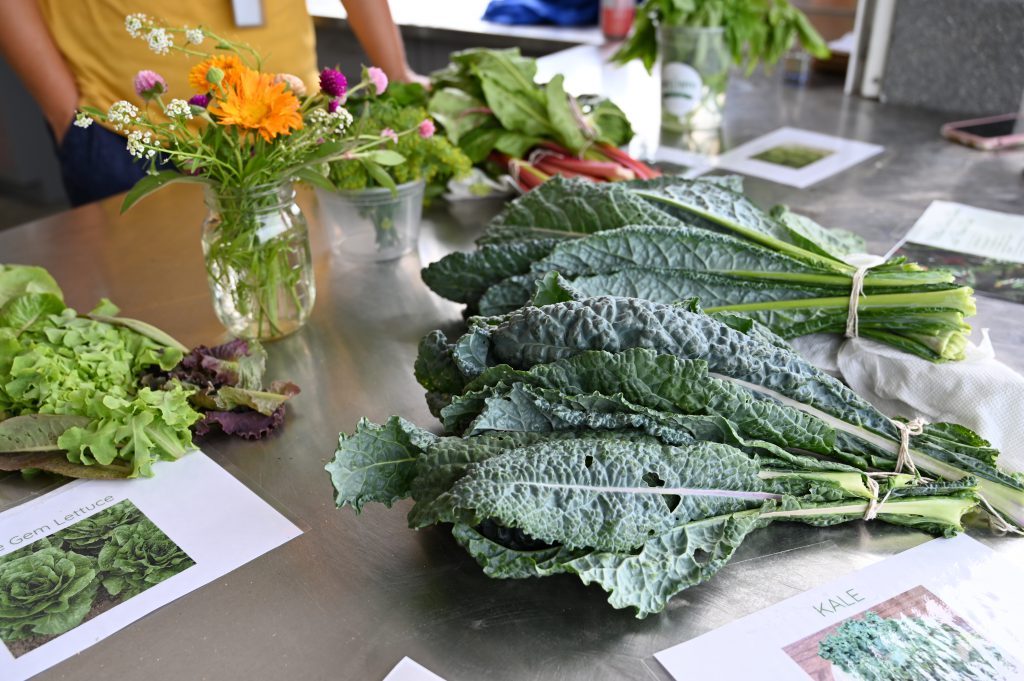 An image of kale, flowers and other produce picked from the North Colonie district gardens.