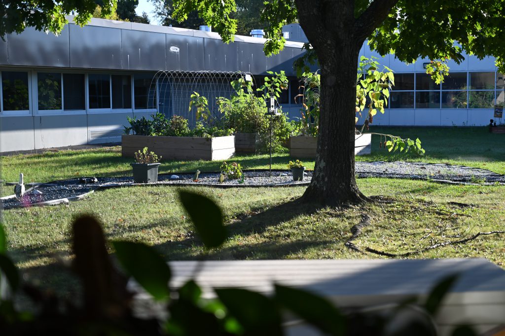 An image of leaves in the foreground and the Latham Ridge Garden in the background.