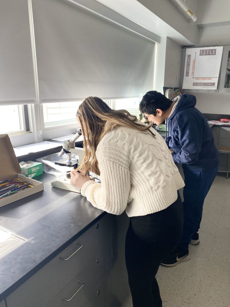 An image of two students looking through microscopes.