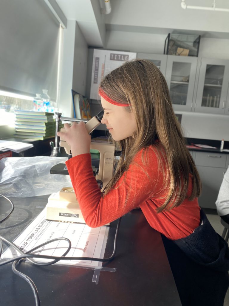 An image of a student looking into a microscope.