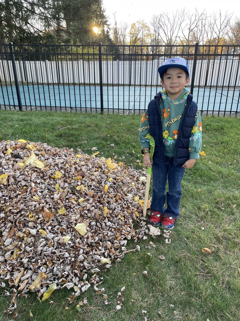 An image of a child standing next to a pile of freshly raked leaves.